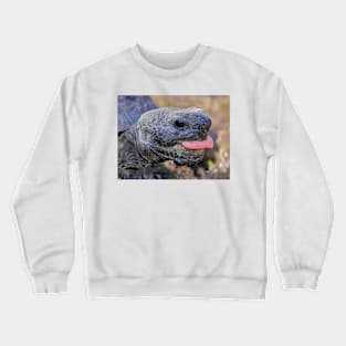 Gopher tortoise Crewneck Sweatshirt